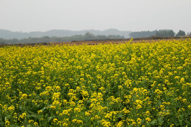 11��03.05����Ѱ�� 003_����.jpg