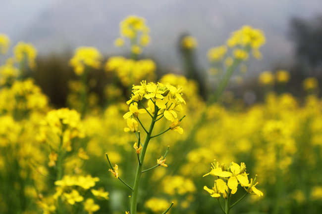 11��03.05����Ѱ�� 052_����.jpg