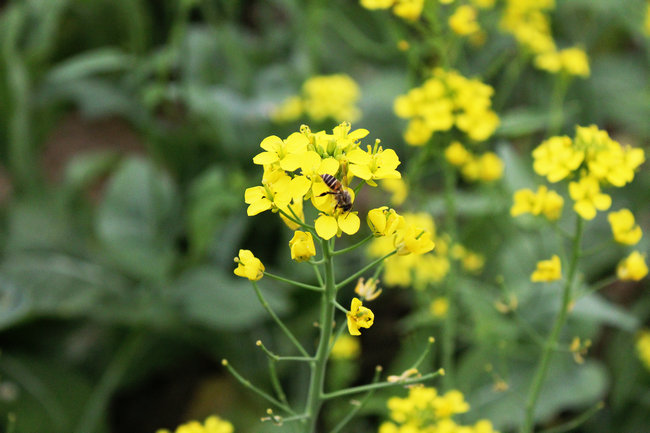 11��03.05����Ѱ�� 033_����.jpg