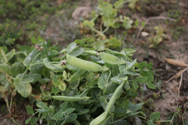 11��03.05����Ѱ�� 126_����.jpg