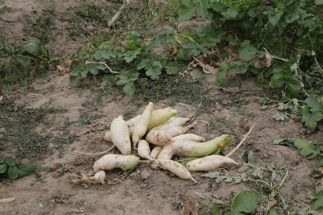 11��03.05����Ѱ�� 083.jpg