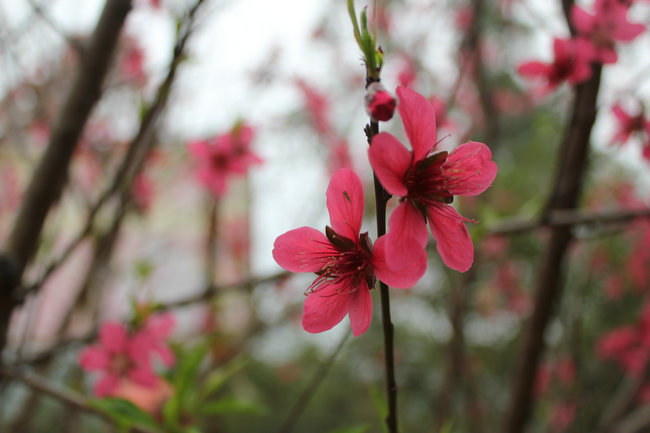 11��03.05����Ѱ�� 177_����.jpg