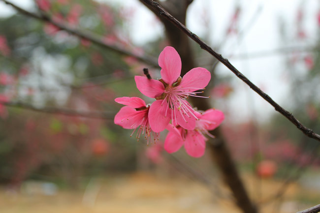 11��03.05����Ѱ�� 178_����.jpg