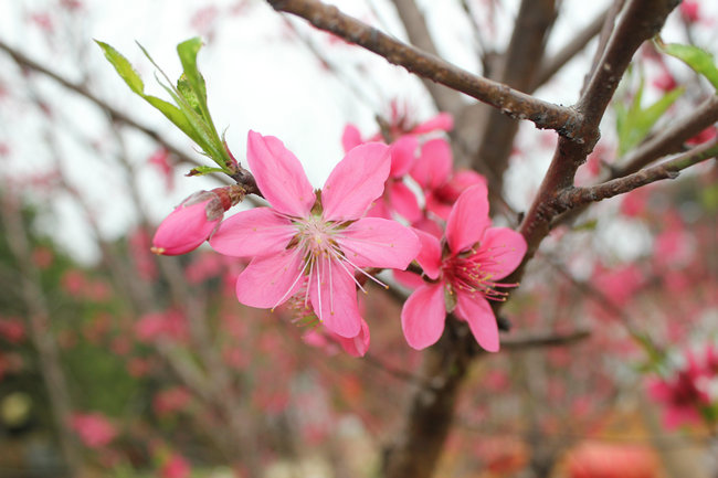 11��03.05����Ѱ�� 179_����.jpg