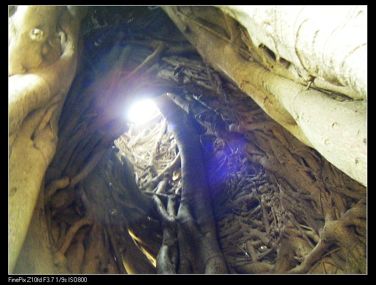 nEO_IMG_���д�� 012.jpg