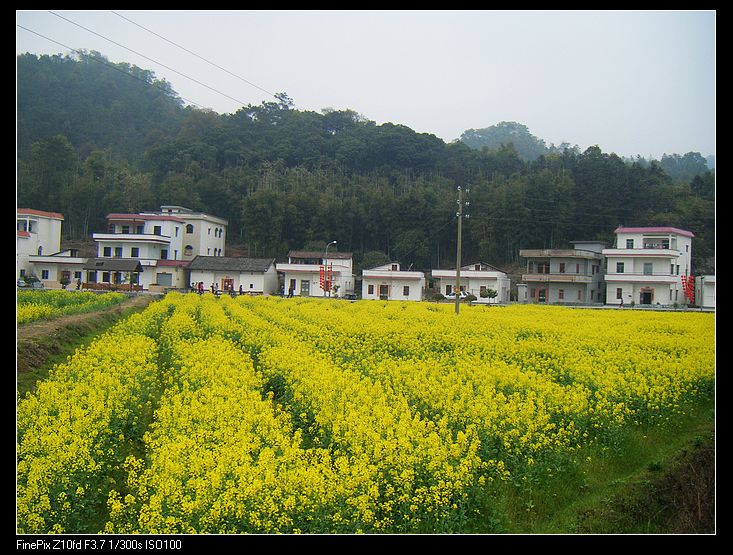 nEO_IMG_���� 035.jpg