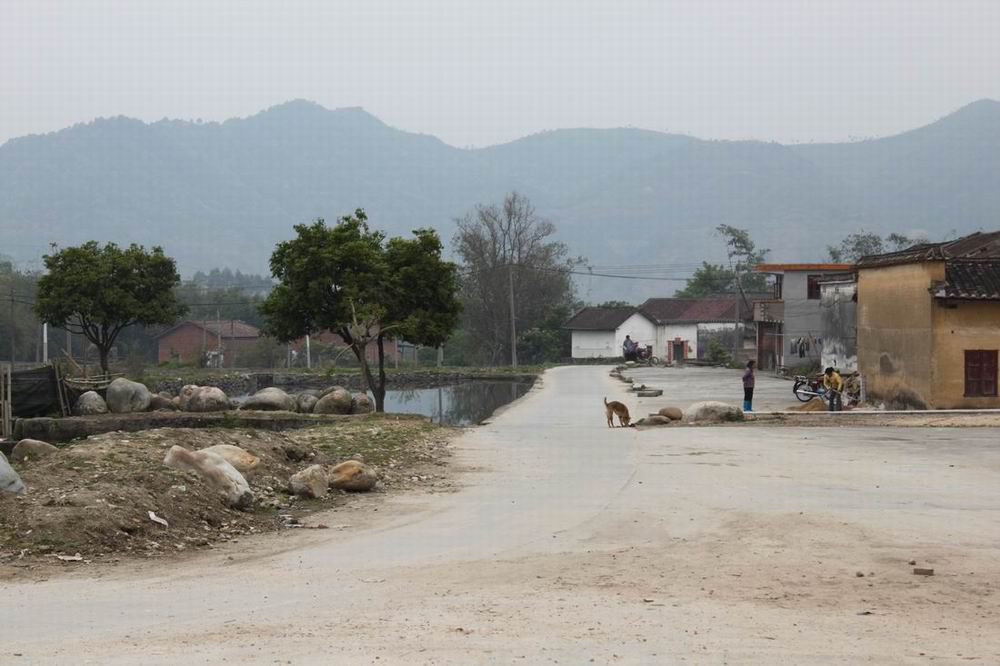 �侲��С�壬��˵�д��·�������֪������ɡ��