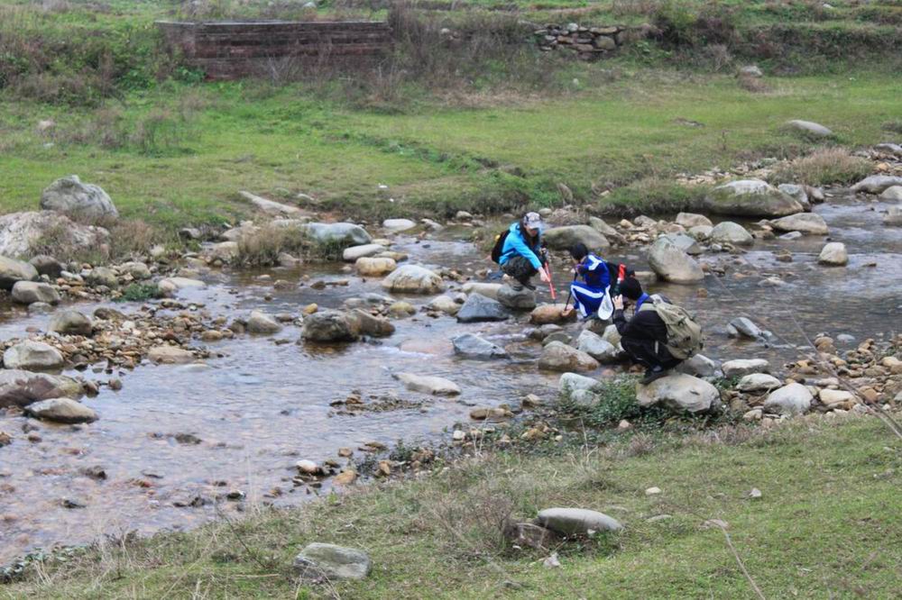 ϴ�����������ȣ�