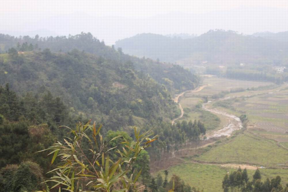 �ϵ���ɽ��������뿩�����أ�