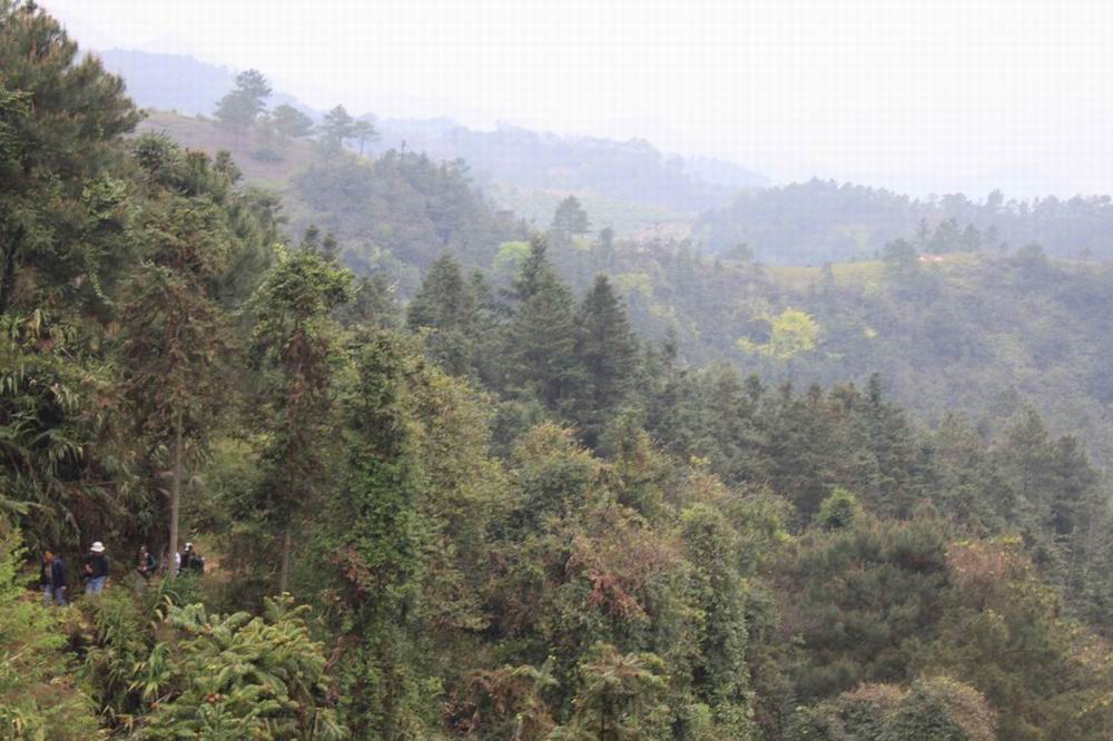 ·���ڽ���