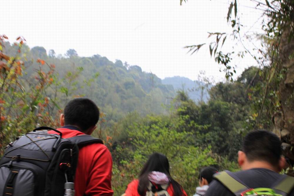 ���ߣ����ߣ���������