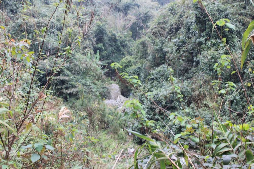 ���ҿ���ʲô