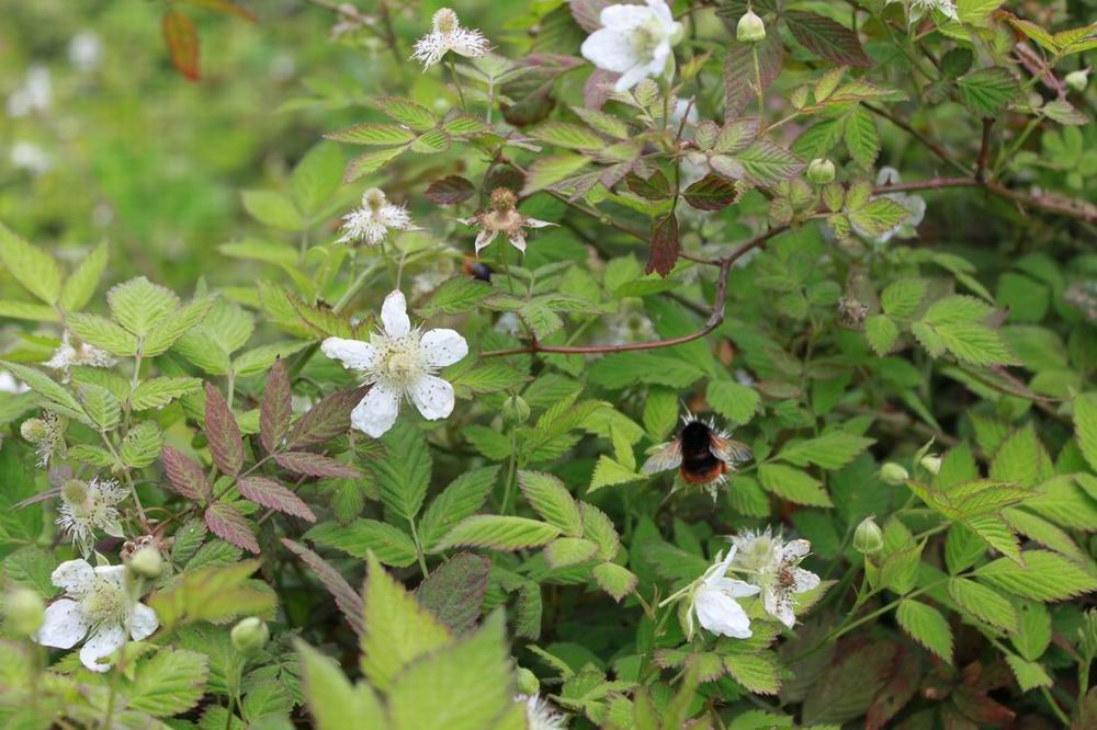 Ұ������˵���˲���