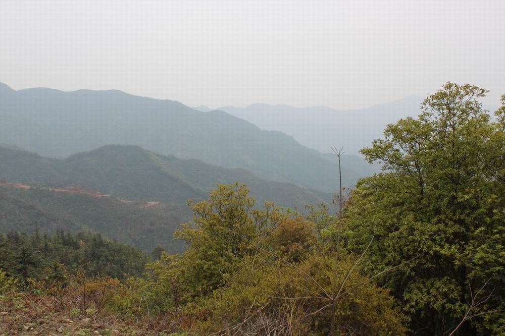 �Ǻǣ��������������������