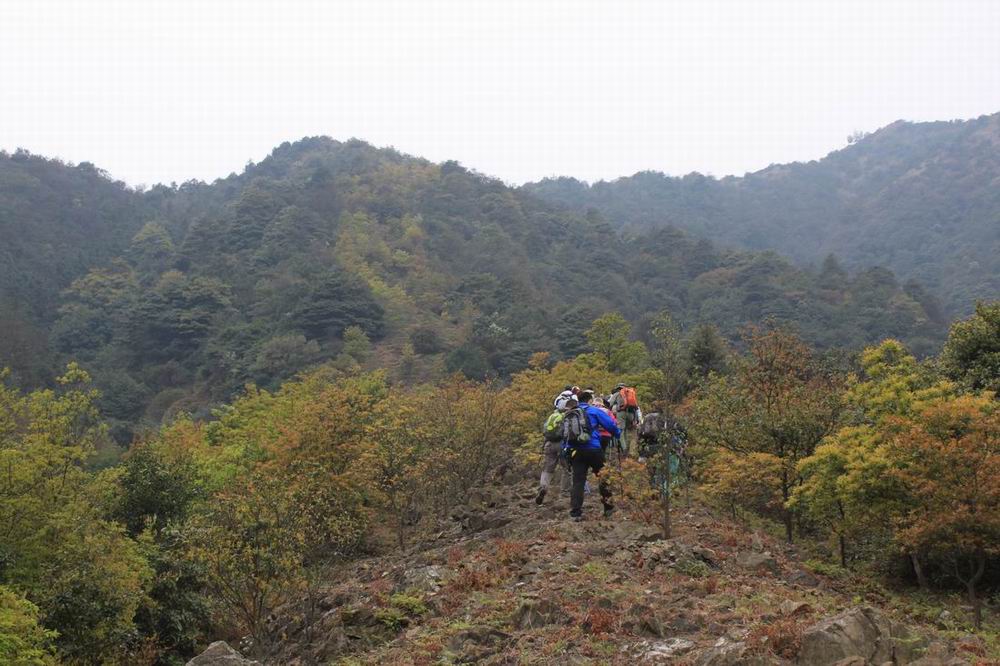 ���ߣ������ڻ�