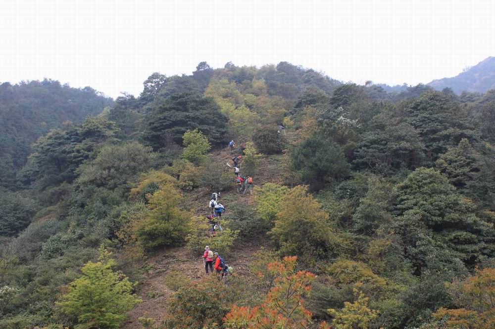 �����ڻ����������������ױ����˷��ֵ�