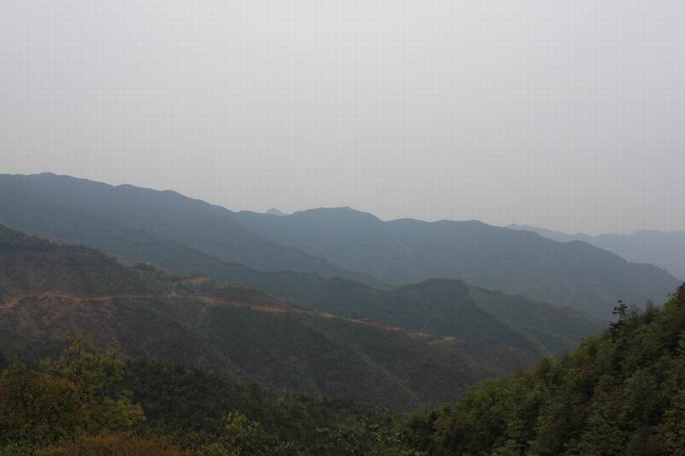 ���������