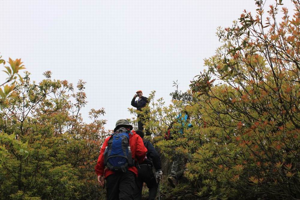 ͬ־�ǣ�����ʤ����