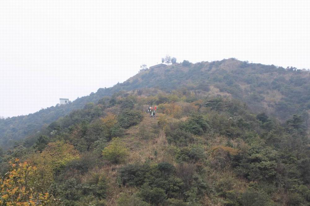 ǰ������һ���ﱤ����ռ��