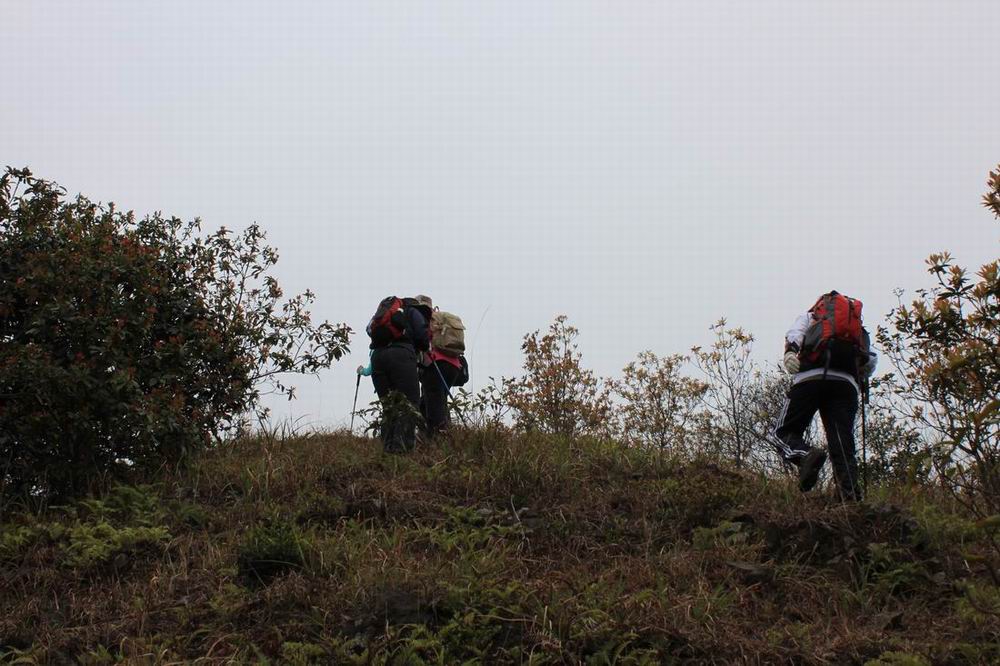 ��ռ�ﱤ;��