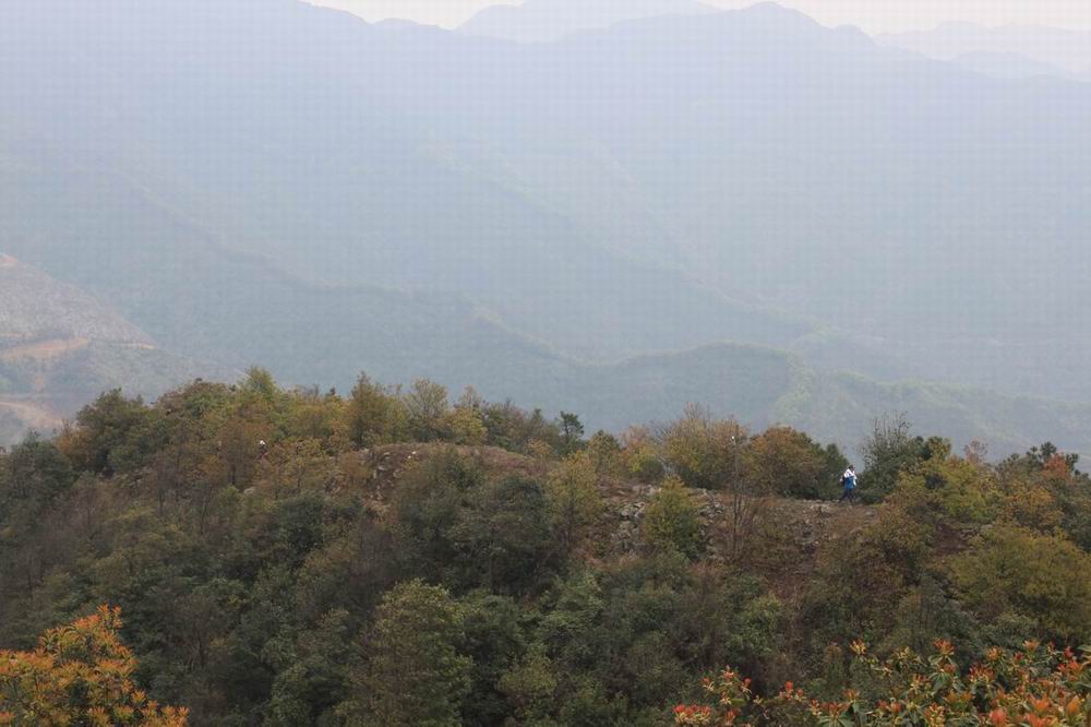 ����ʤ����