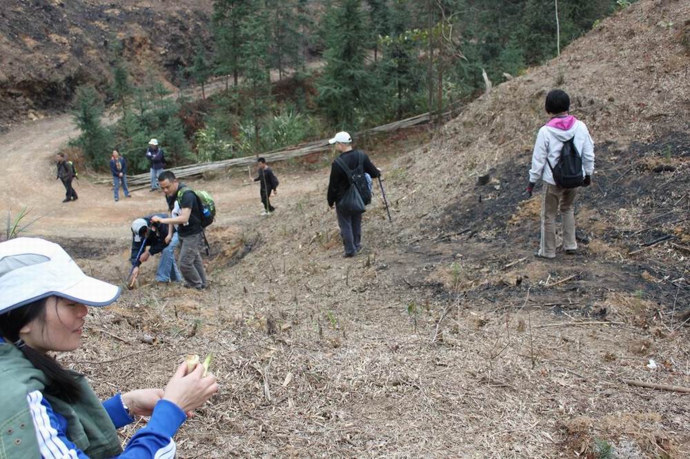 ����ʤ�̣�����ȥ