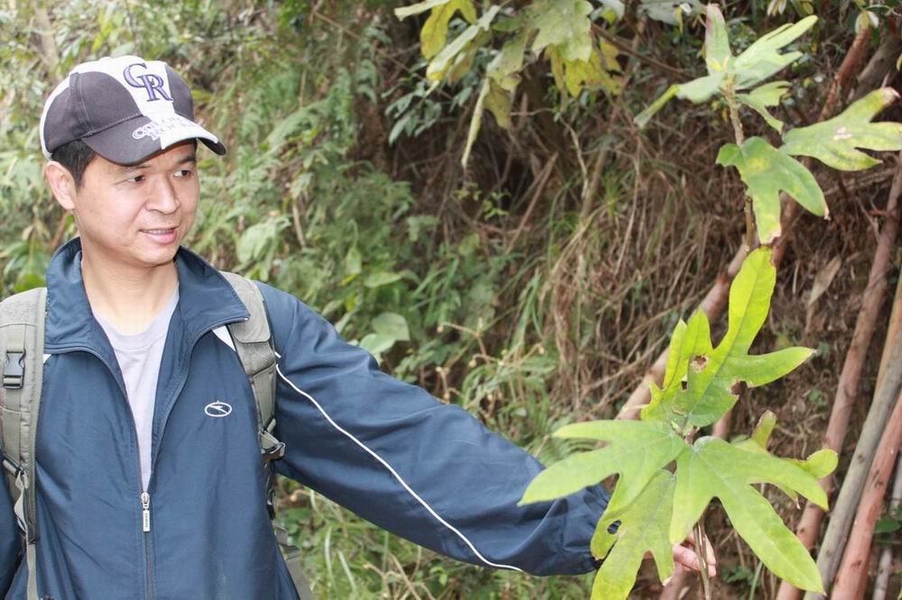 ����ս��Ʒ����ָë��