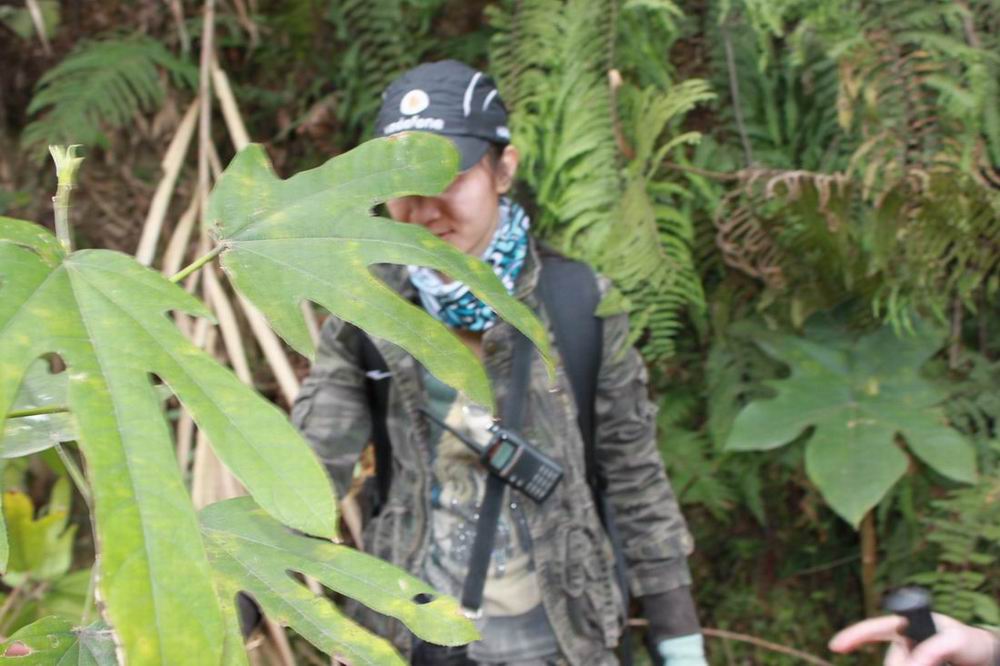 ��ɡ�����ڸ���