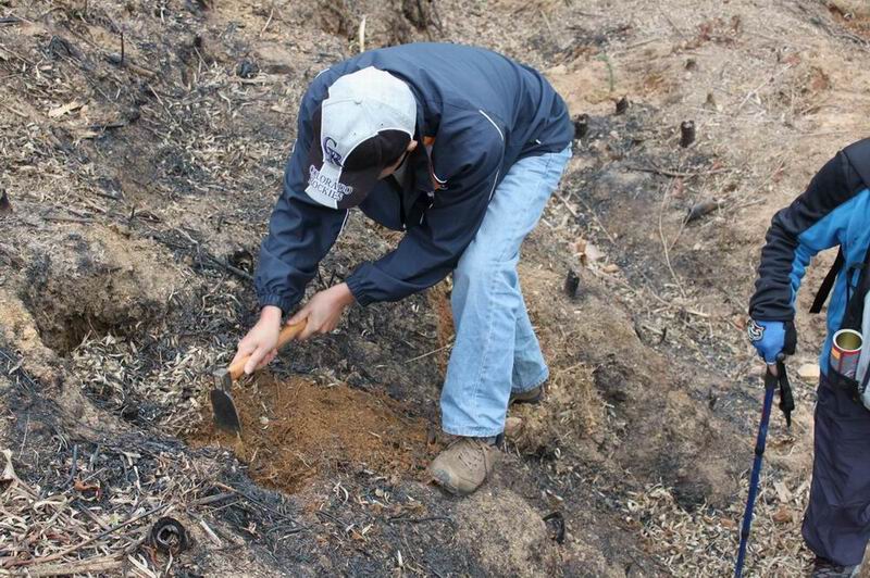 ������С ������С ������С IMG_1377.JPG