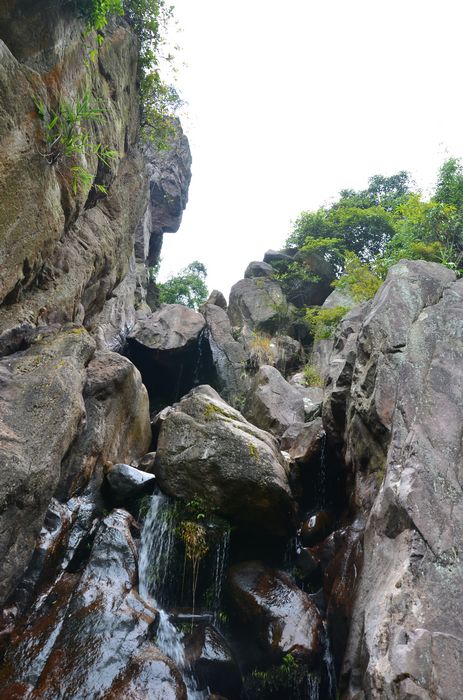 nEO_IMG_��Ƭ 564.jpg