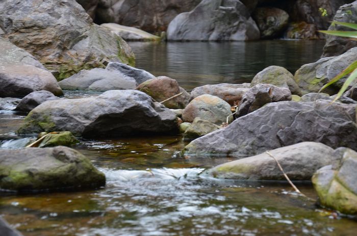 nEO_IMG_��Ƭ 083.jpg