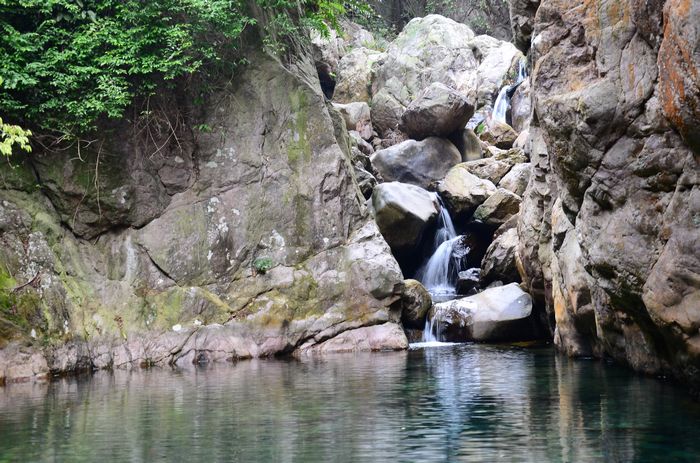 nEO_IMG_��Ƭ 137.jpg