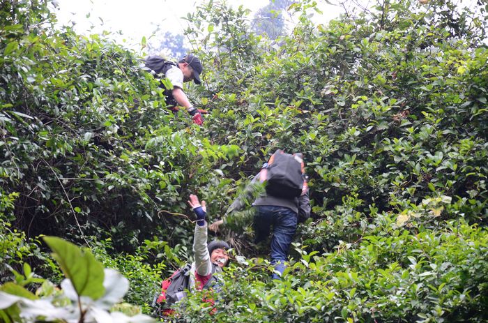 nEO_IMG_��Ƭ 148.jpg