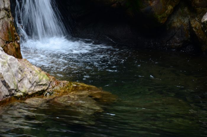 nEO_IMG_��Ƭ 222.jpg