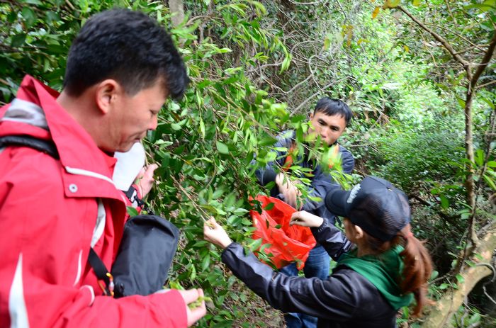 nEO_IMG_��Ƭ 269.jpg