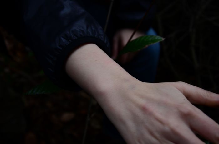 nEO_IMG_��Ƭ 270.jpg