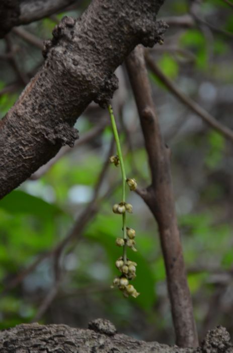 nEO_IMG_��Ƭ 292.jpg