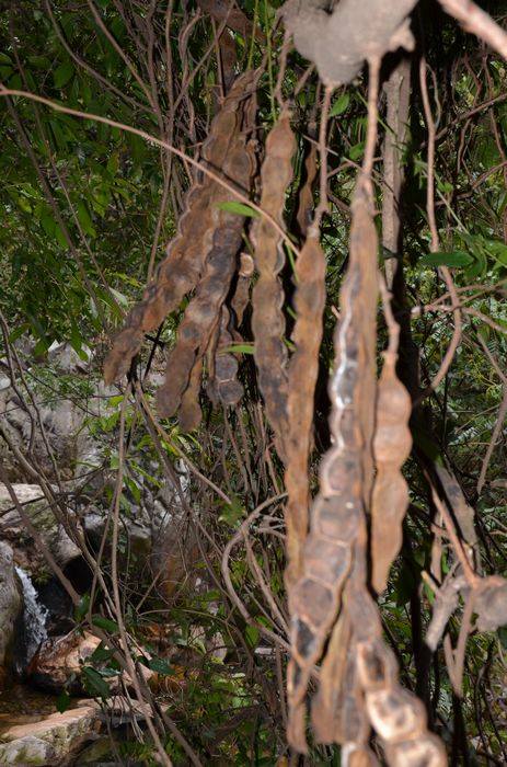 nEO_IMG_��Ƭ 300.jpg