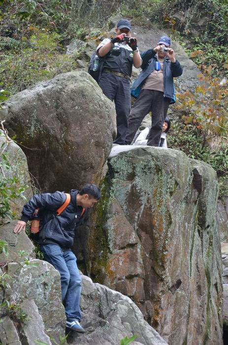 nEO_IMG_��Ƭ 342.jpg