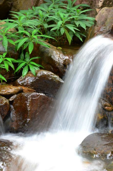 nEO_IMG_��Ƭ 388.jpg