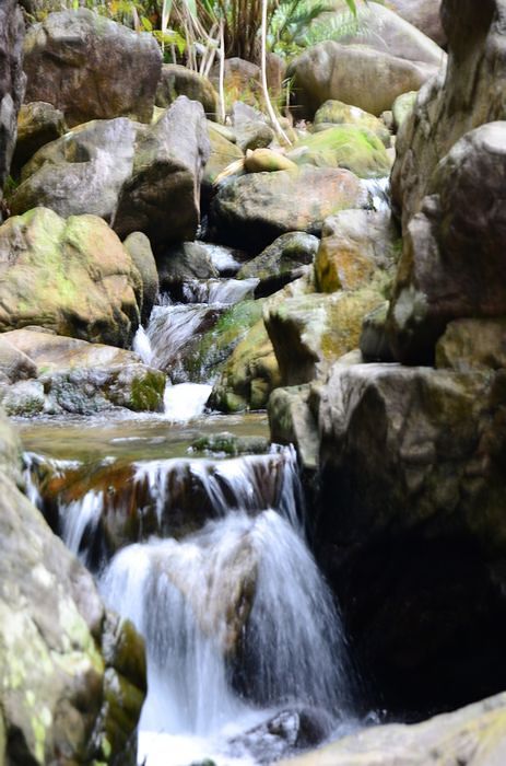 nEO_IMG_��Ƭ 419.jpg