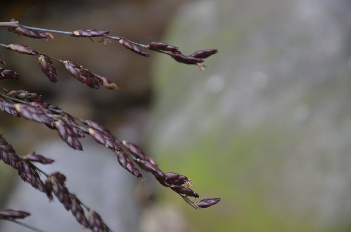 nEO_IMG_��Ƭ 442.jpg