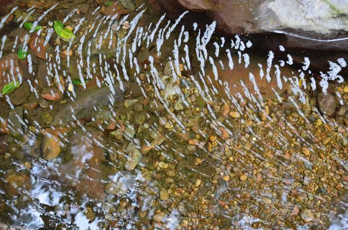 nEO_IMG_��Ƭ 445.jpg