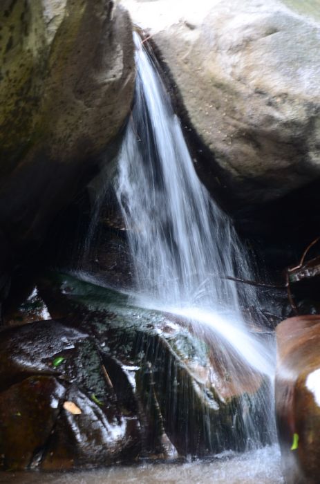 nEO_IMG_��Ƭ 453.jpg