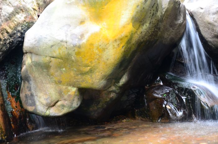 nEO_IMG_��Ƭ 455.jpg