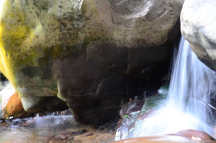 nEO_IMG_��Ƭ 459.jpg