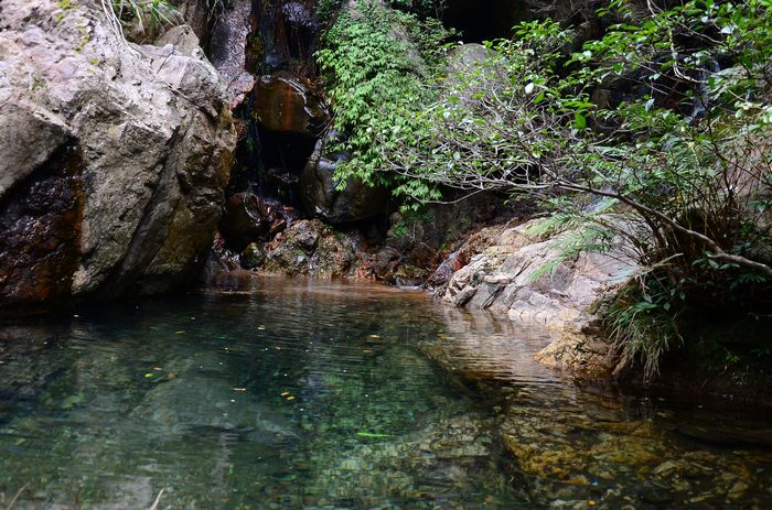 nEO_IMG_��Ƭ 486.jpg