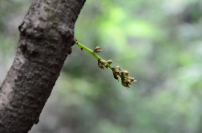 nEO_IMG_��Ƭ 533.jpg