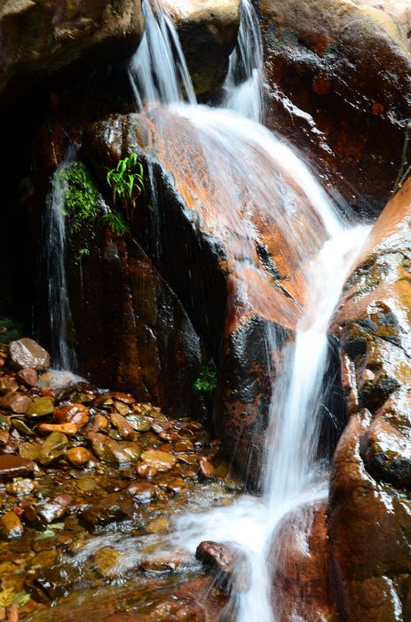 nEO_IMG_��Ƭ 536.jpg