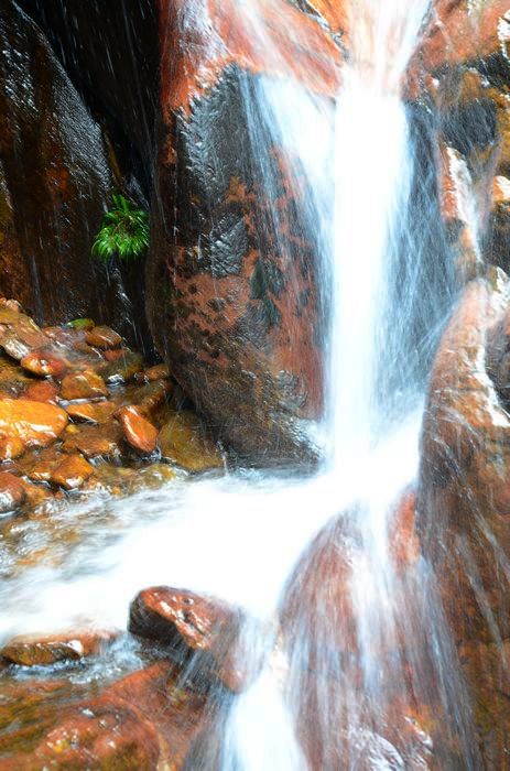 nEO_IMG_��Ƭ 539.jpg